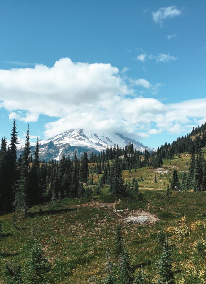 1 Day Family Hikes in Mt Rainier National Park