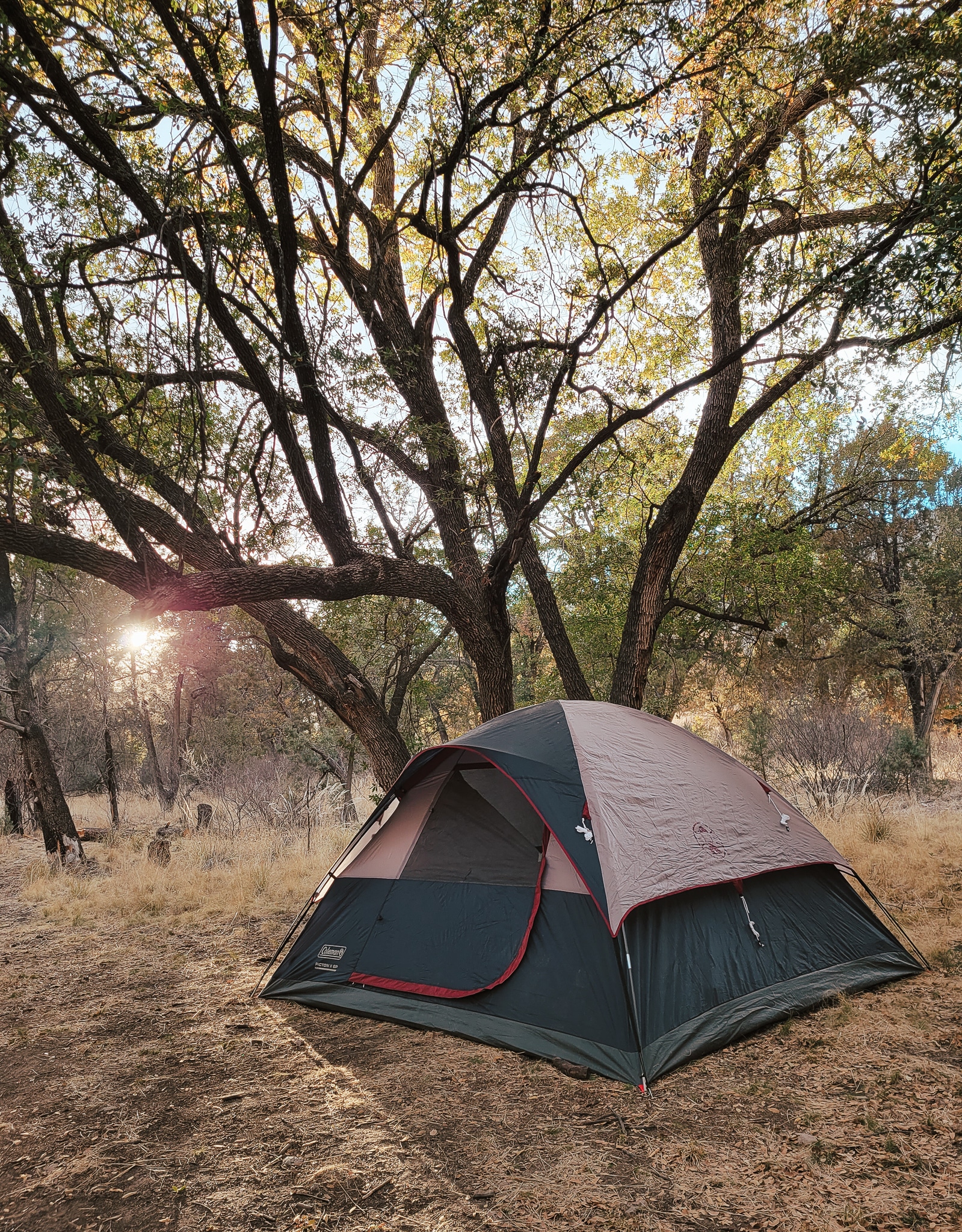 camping at chiricahua national monument