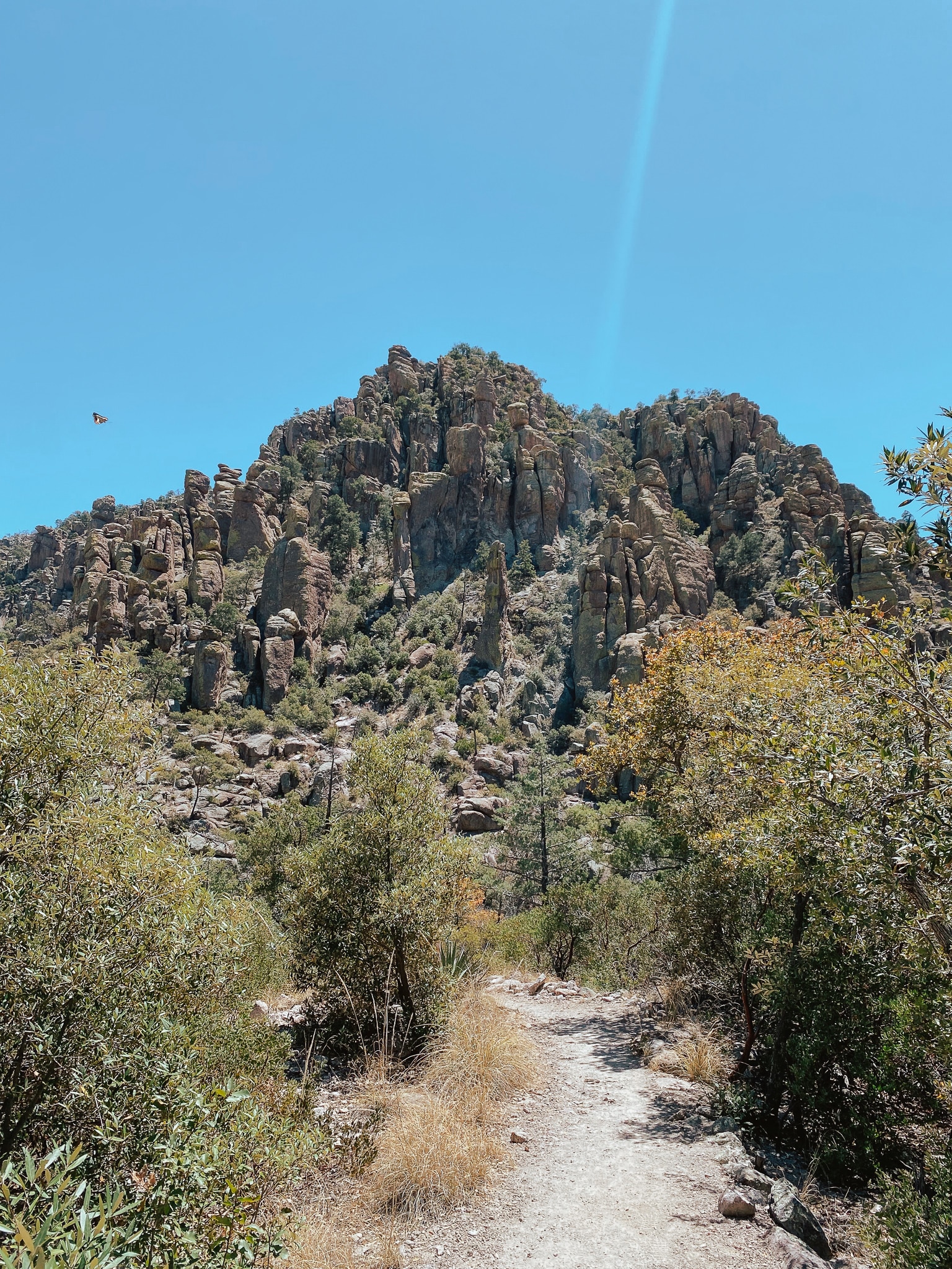 chiricahua national monument is worth the drive