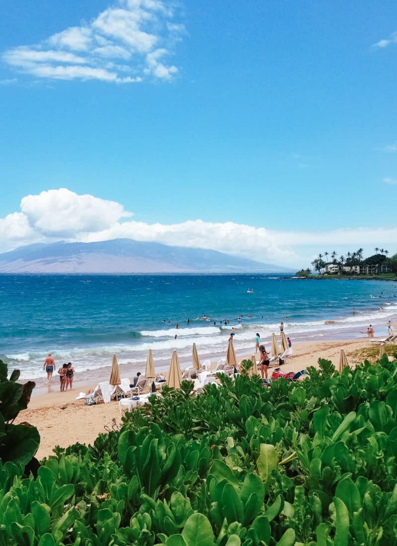 Best Hawaiian Island for Baby (& Worst)
